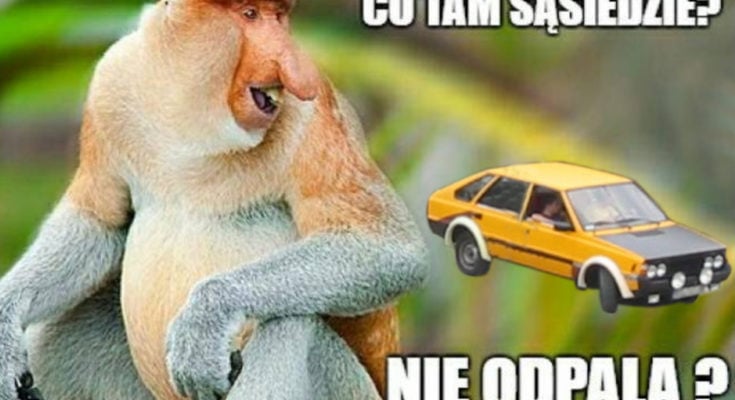 polish garage tuning