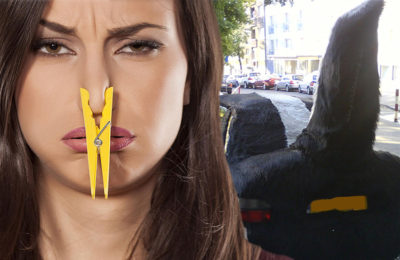 skunks machina tuning WT